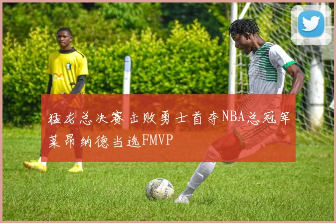 猛龙总决赛击败勇士首夺NBA总冠军莱昂纳德当选FMVP