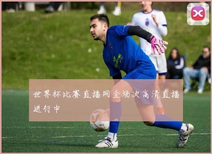 世界杯比赛直播网全场次高清直播进行中