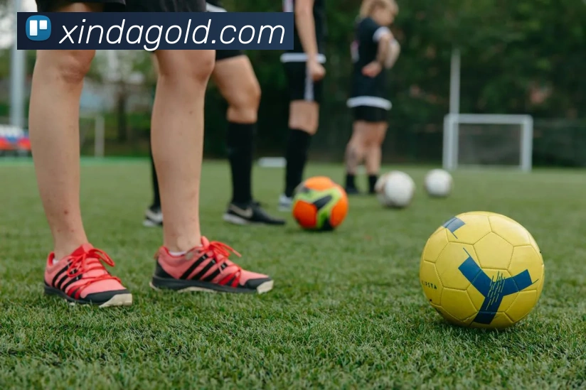 奖项2