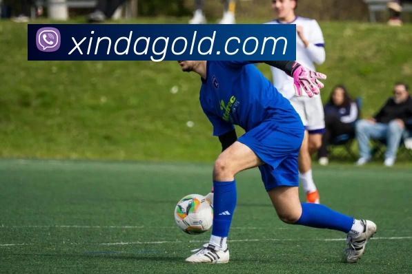 南宫28 - 南宫28平台全站App 南宫28 - 南宫28平台全站App